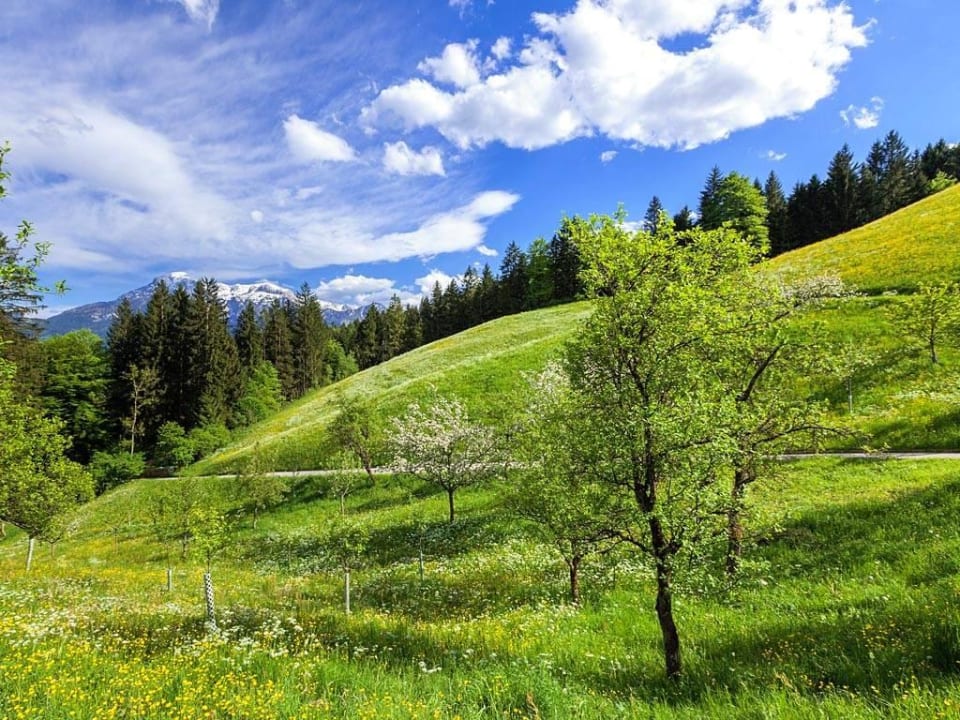Ausblick Pension Scheuerbichl
