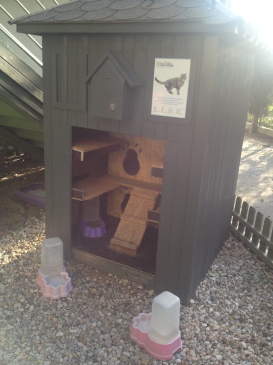 Katzenhaus Limak Lara Deluxe Hotel & Resort