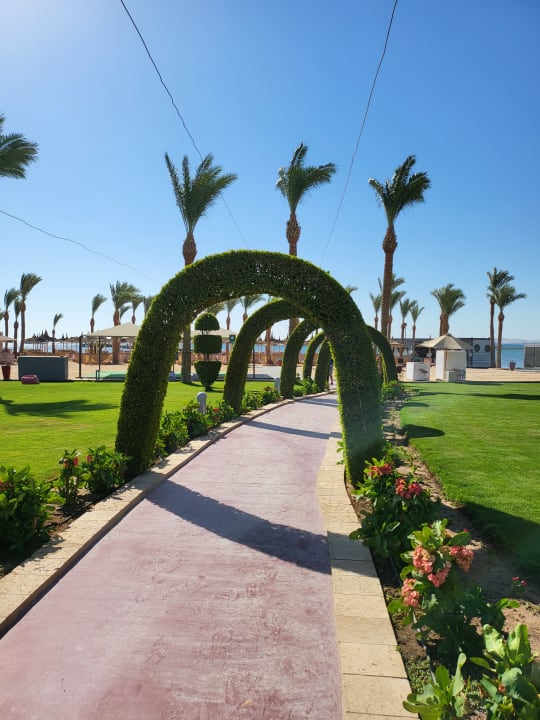 Gartenanlage Pickalbatros Palace Resort