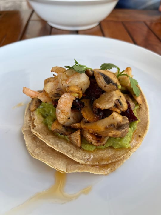 Gastro Secrets Riviera Cancún Resort & Spa - Adults Only - All inclusive