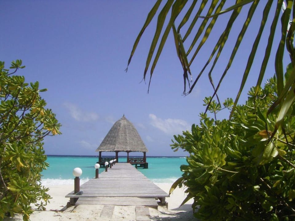 Steg an der Tauchbasis Angaga Island Resort
