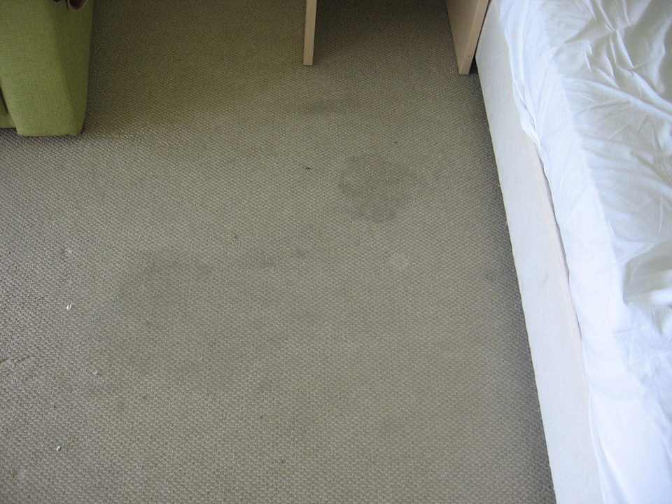 Verschmutzter Tepich Park Hotel Golden Beach