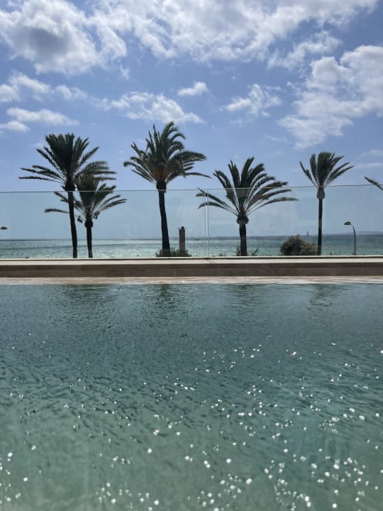 Pool Myseahouse Flamingo - Adults only