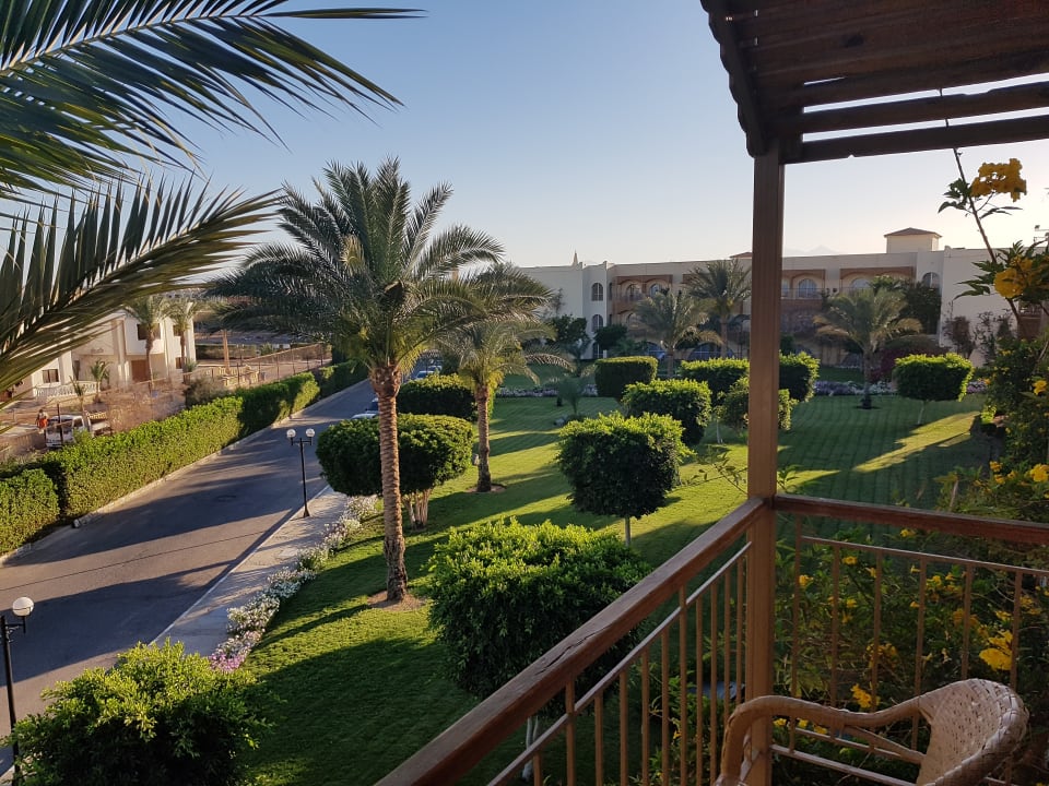 Gartenanlage Desert Rose