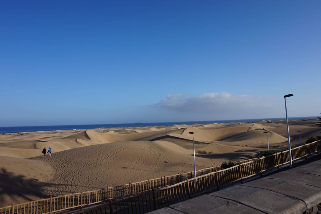 Ausblick auf die Dünen Sahara Beach Club