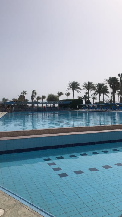 Pool Arabia Azur Resort