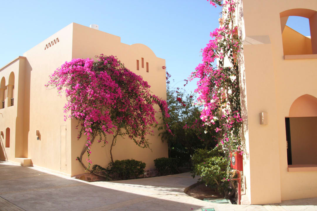 Wunderschöne Anlage liebevoll gestaltet! Steigenberger Coraya Beach - Adults only