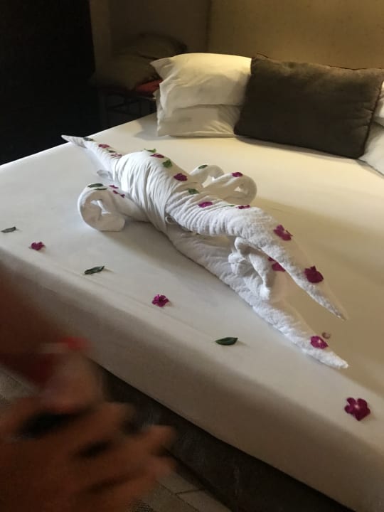 Zimmer Jaz Makadi Oasis Resort