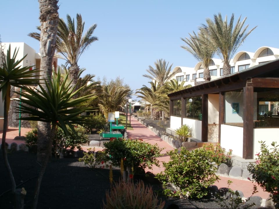Ogród SBH Hotel Royal Monica
