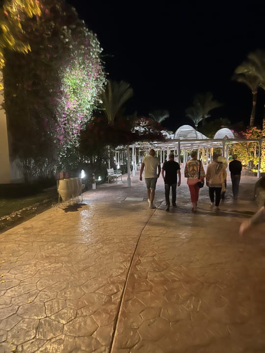 Gartenanlage Desert Rose