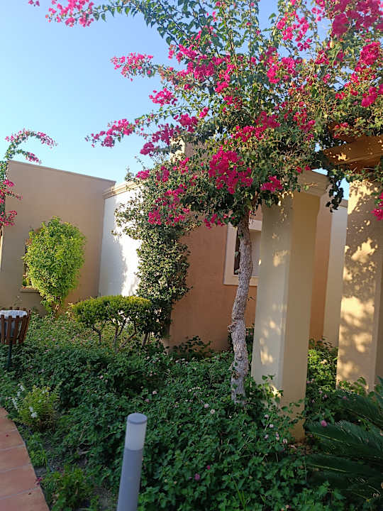 Gartenanlage Atrium Palace Thalasso Spa Resort & Villas