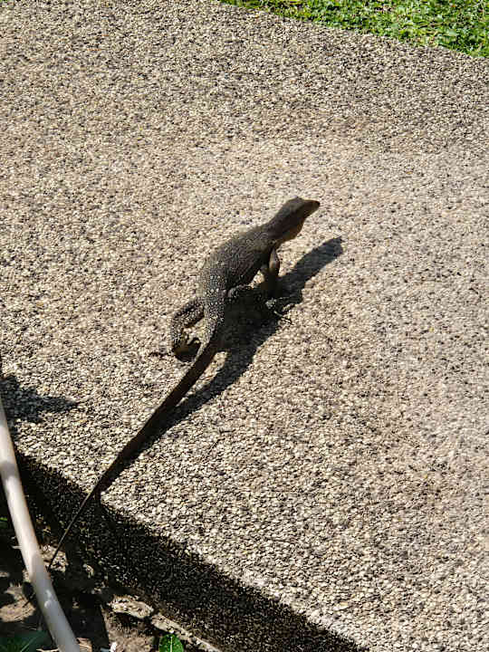 Gartenanlage Best Western Premier Bangtao Beach Resort & Spa