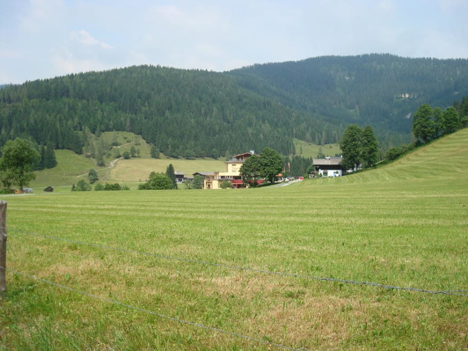 Ausblick auf die grünen Wiesen Hotel Neubergerhof