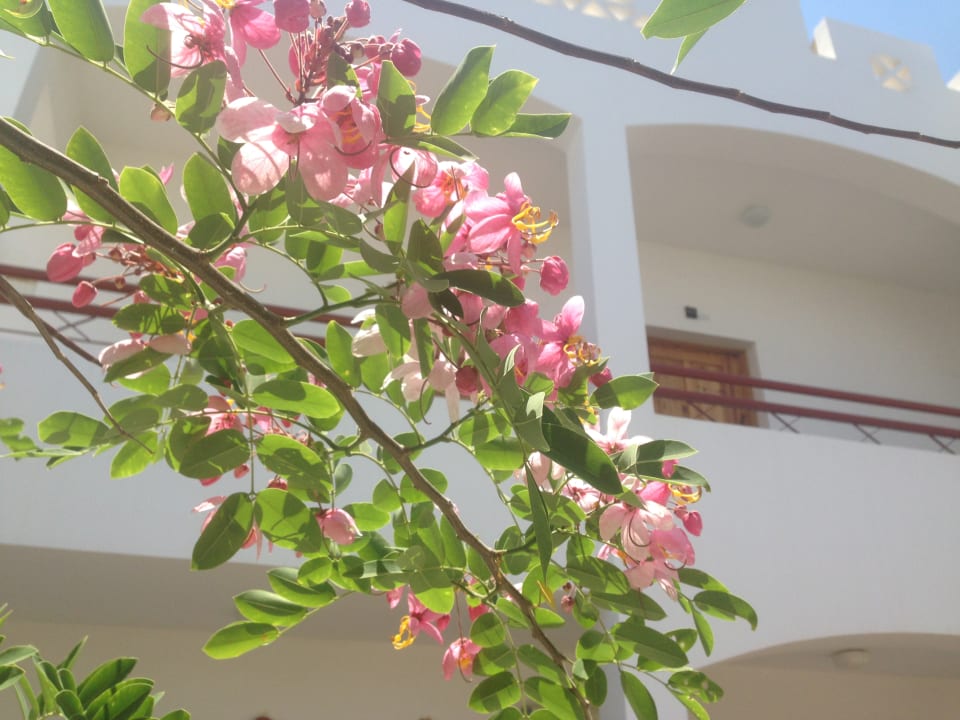 Gartenanlage Happy Life Village