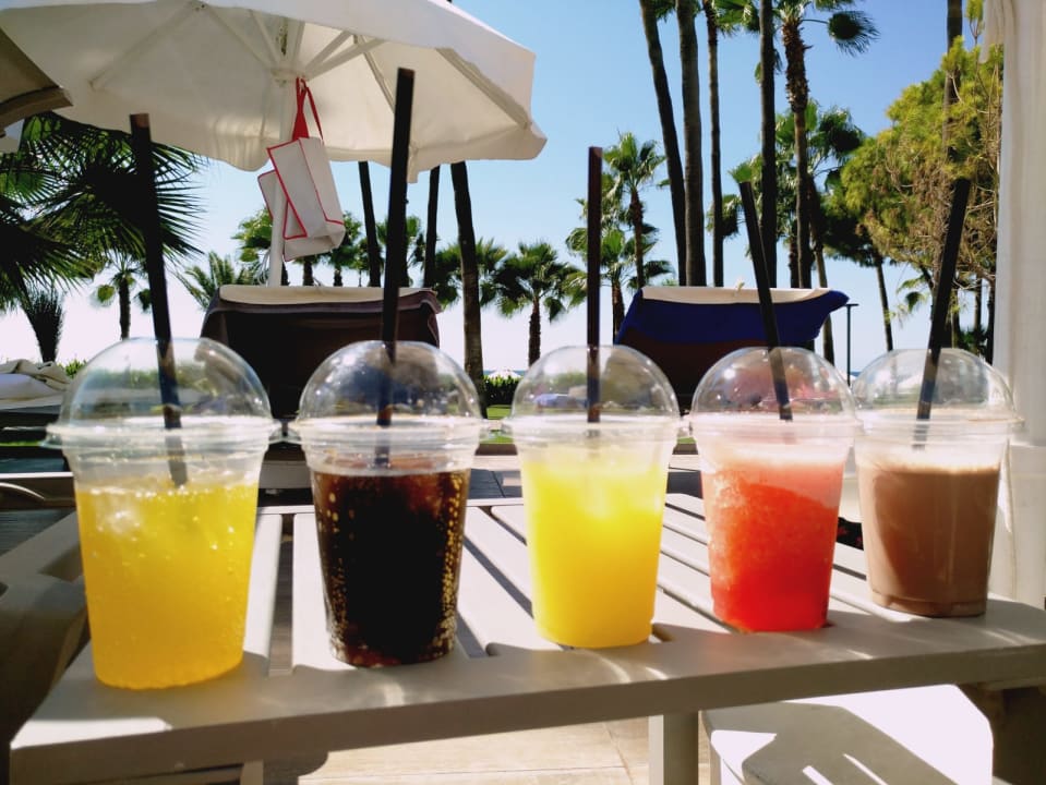 Gastro Acanthus Cennet Barut Collection