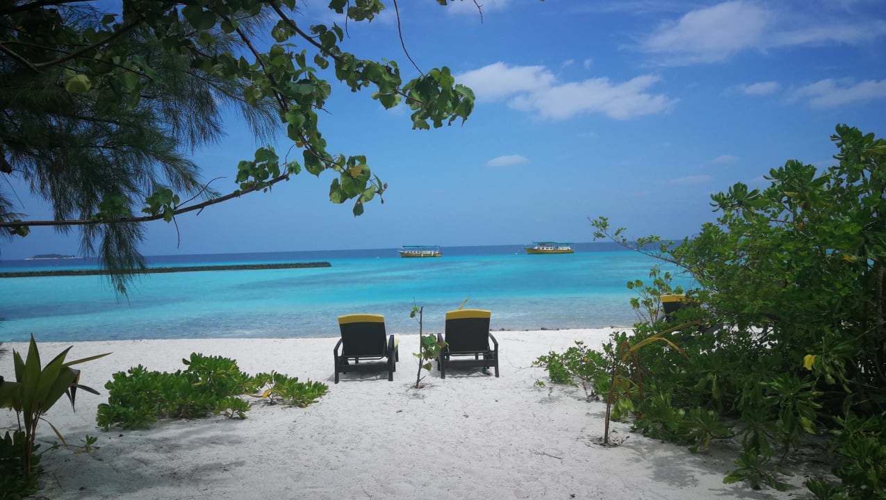 Strand Summer Island Maldives