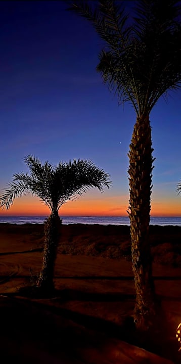 Gartenanlage Shams Alam Beach Resort