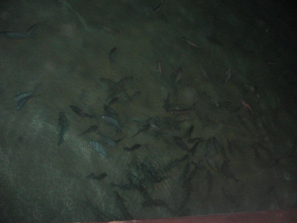 Fische Adaaran Select Hudhuran Fushi - Premium All Inclusive