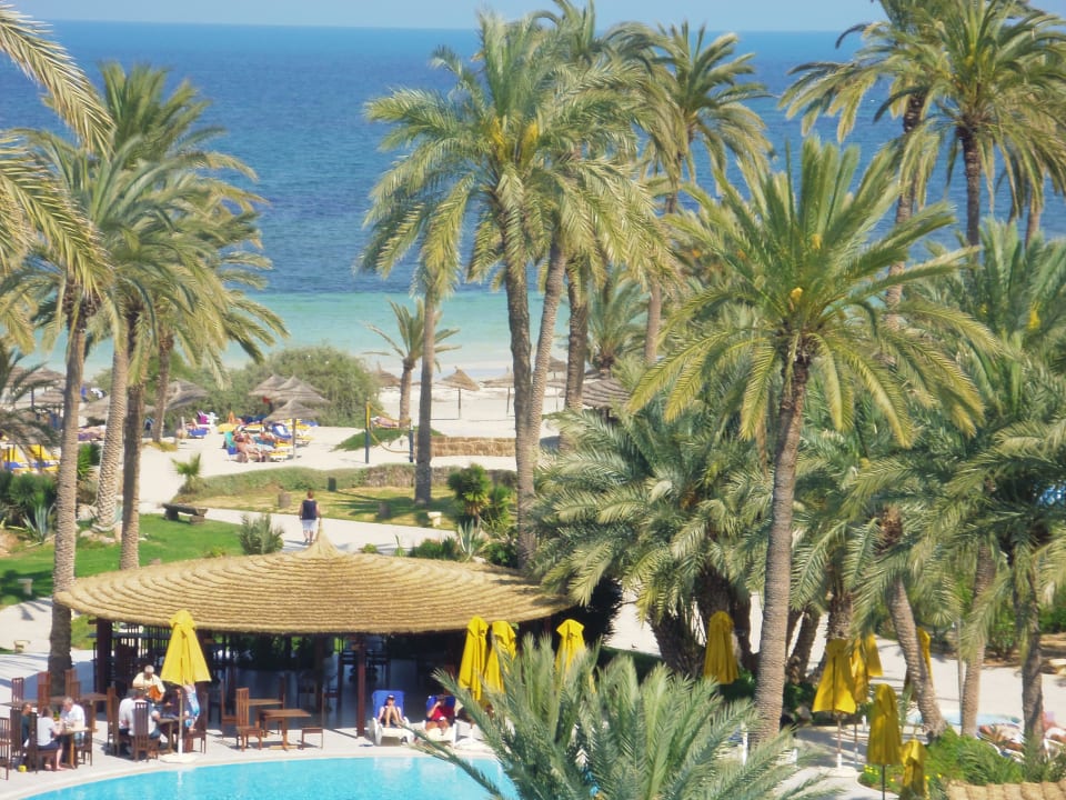 Strand umgeben mit Palmen. Hotel Eden Star