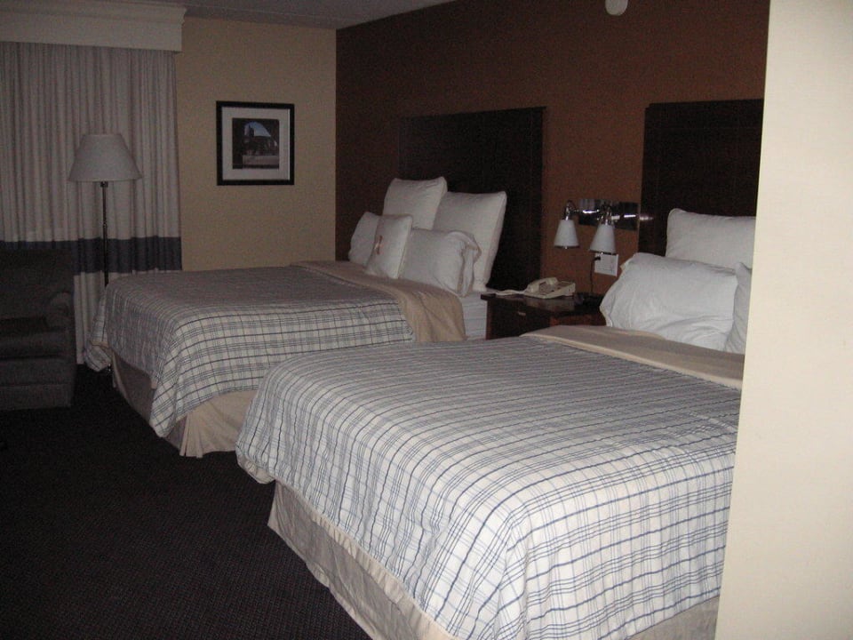 Die Betten Hotel Four Points by Sheraton O'Hare Airport