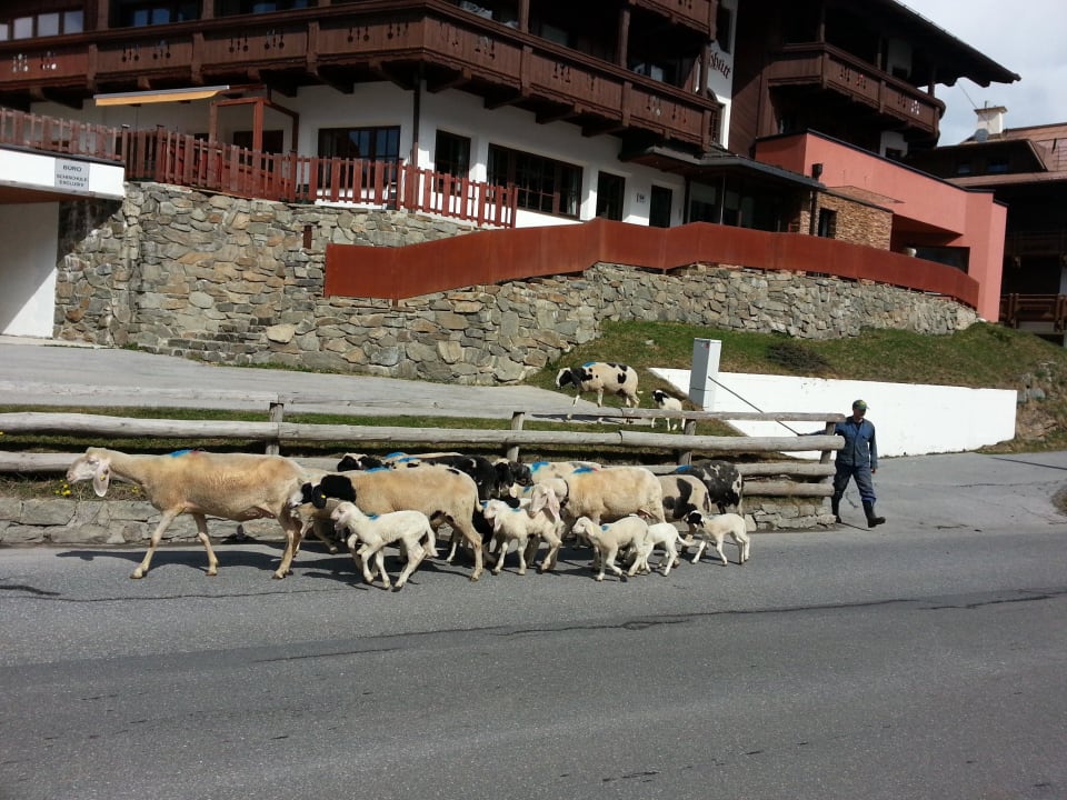 Hotel Pirchhütt Hotel Garni Pirchhütt