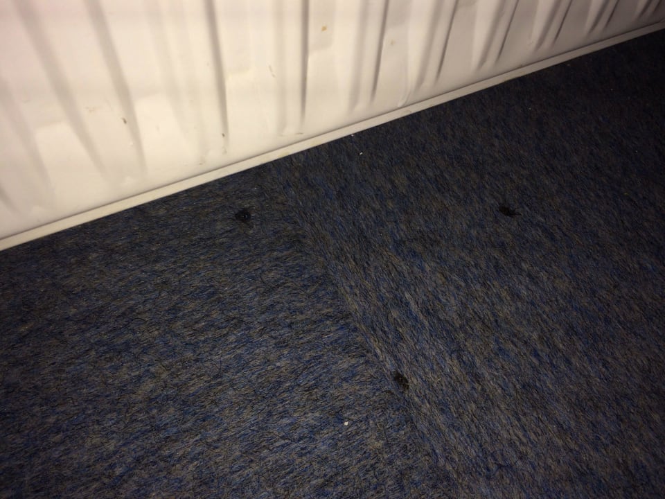 Fußboden Hotel Bügener