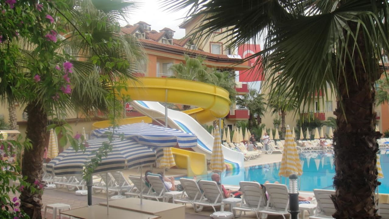 Blick aus dem Zimmer zum Pool Hotel Orfeus Park