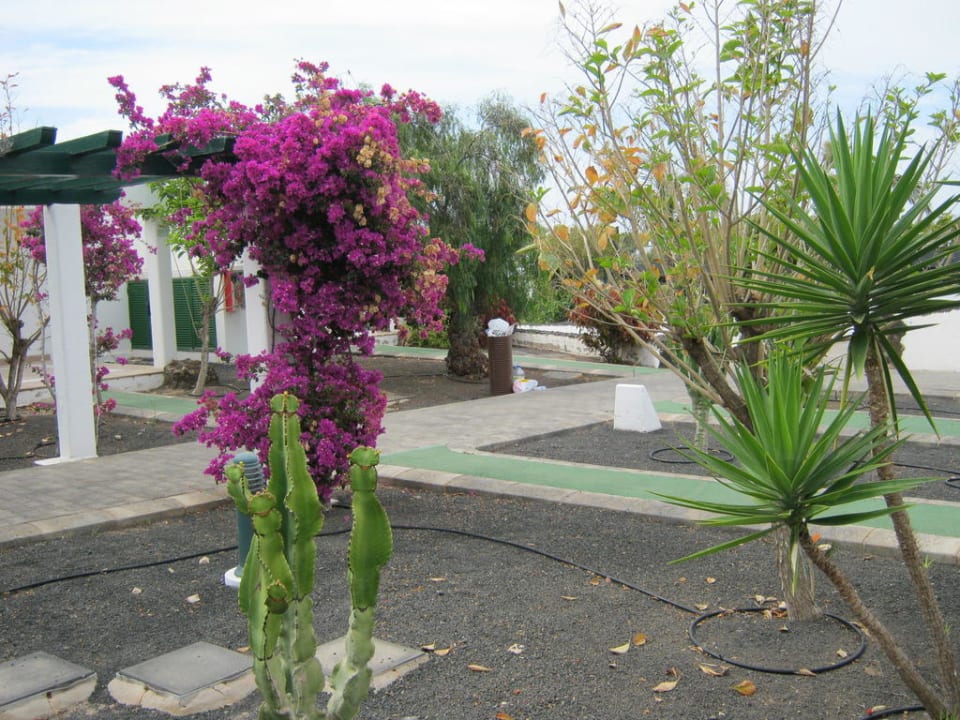 Gartenanlage Relaxia Lanzasur Club