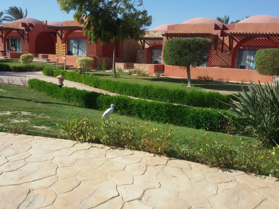 "Gartenpersonal" Swisstouch Oriental Resort Marsa Alam