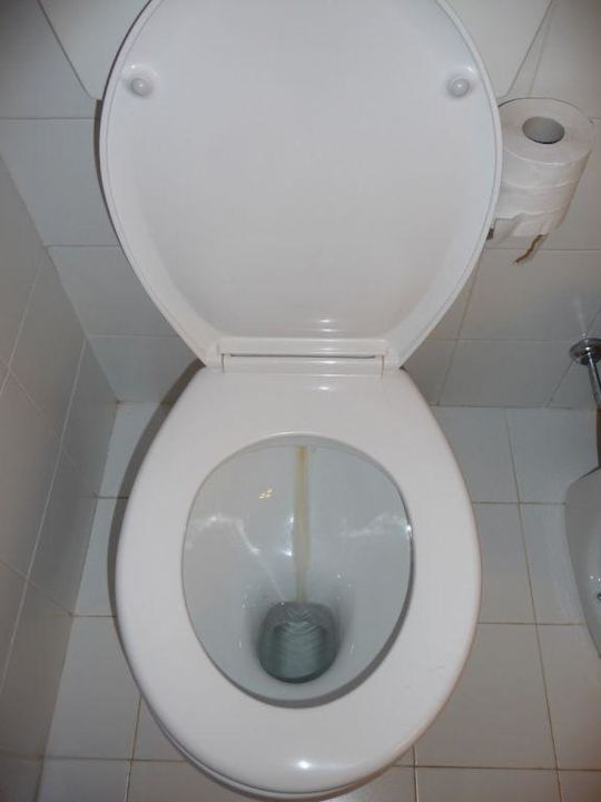 WC Hotel Villa Le Barone
