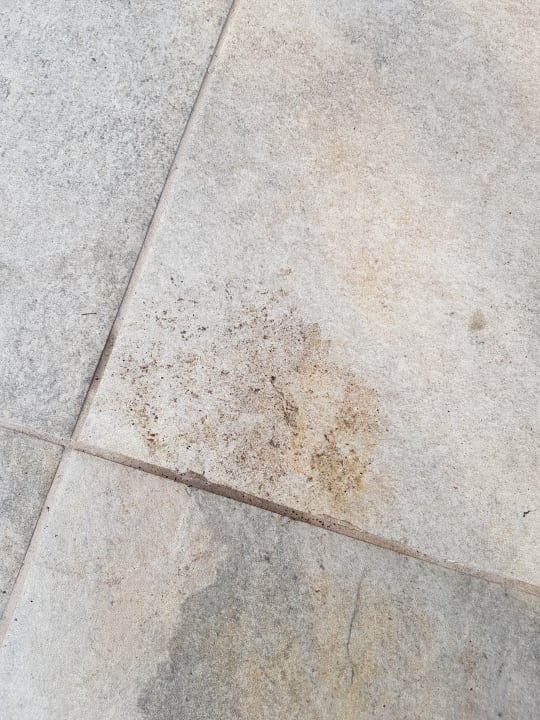 Zimmer Balmy Foresta