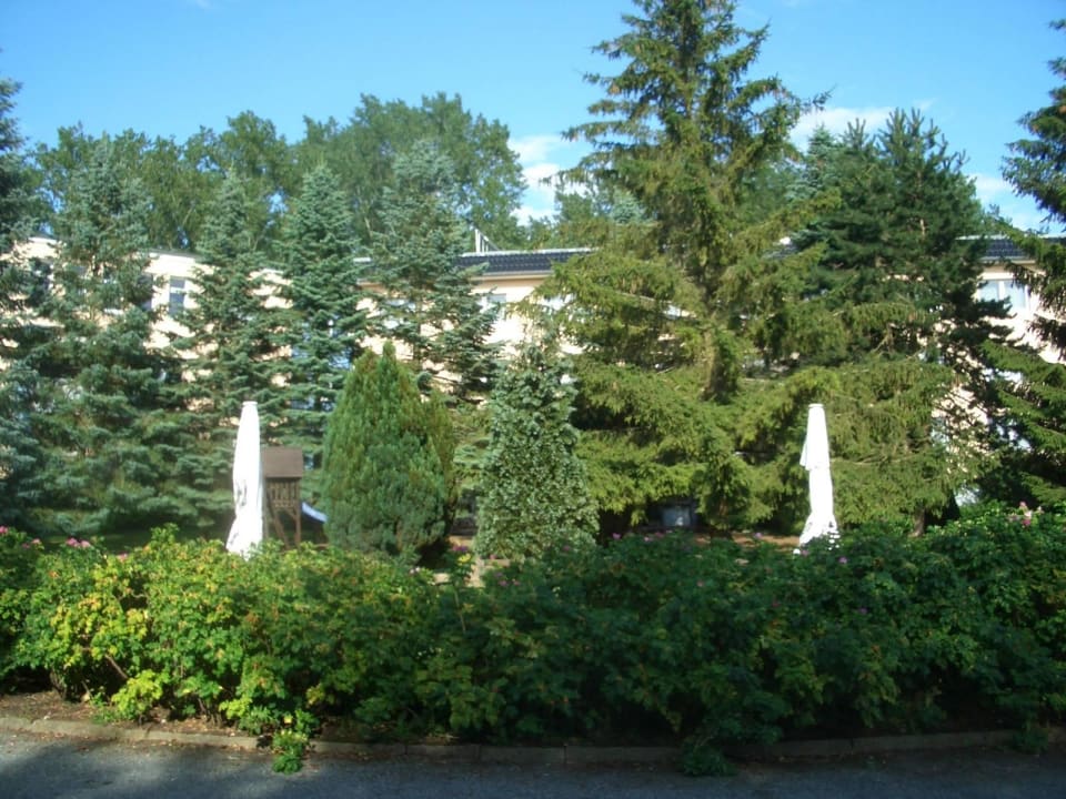 Hinter dem Hotel Hotel am Tierpark
