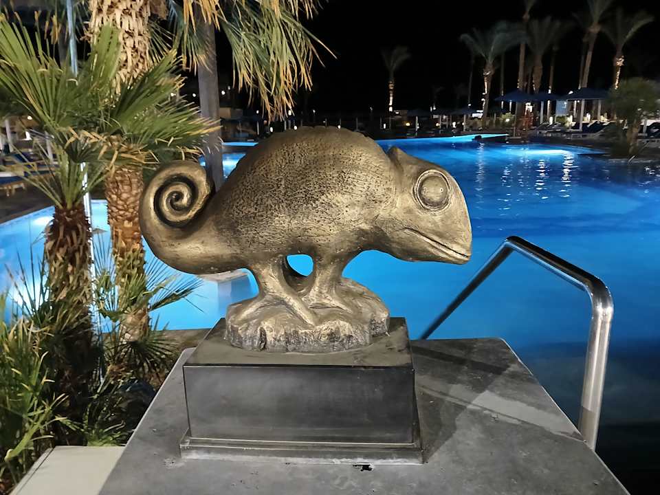 Pool Pickalbatros Palace Hotel-Port Ghalib