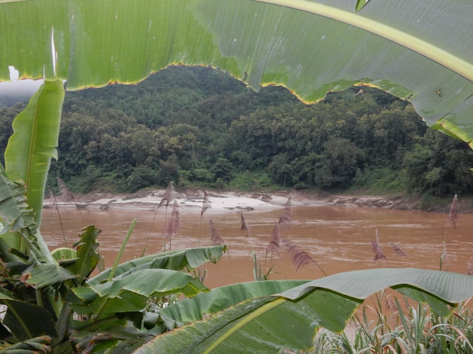 Blick vom Bungalow Hotel Luang Say Lodge