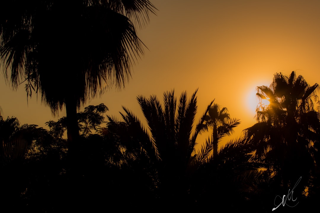 Ausblick Hotel Oleander