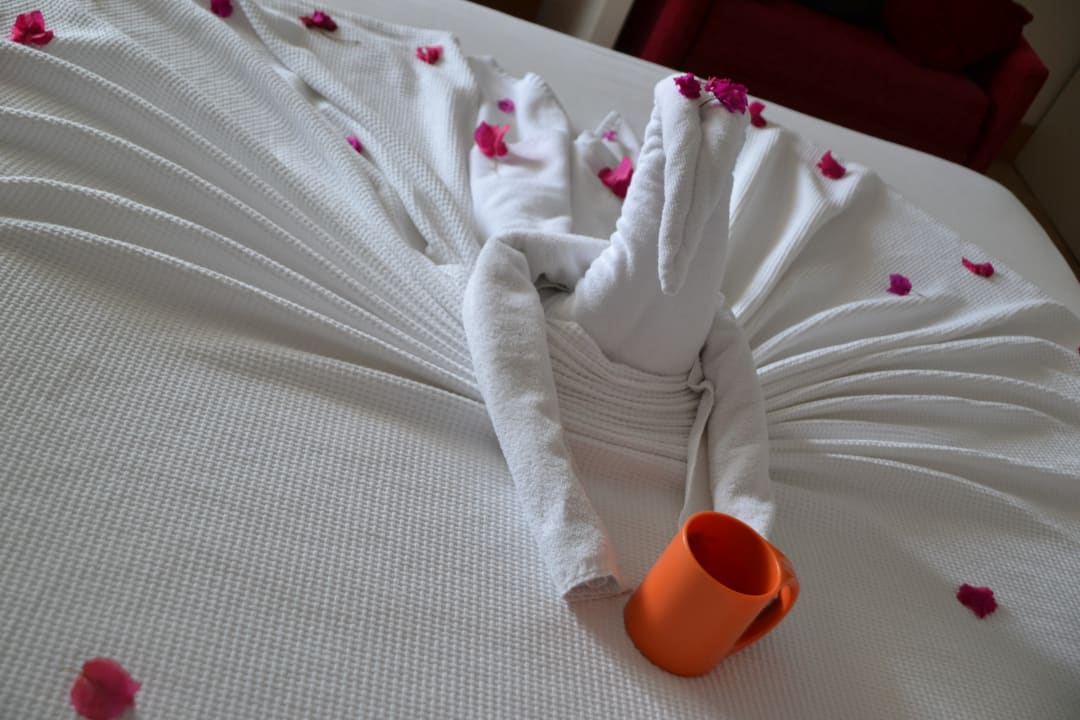 Zimmer Hane Family Resort