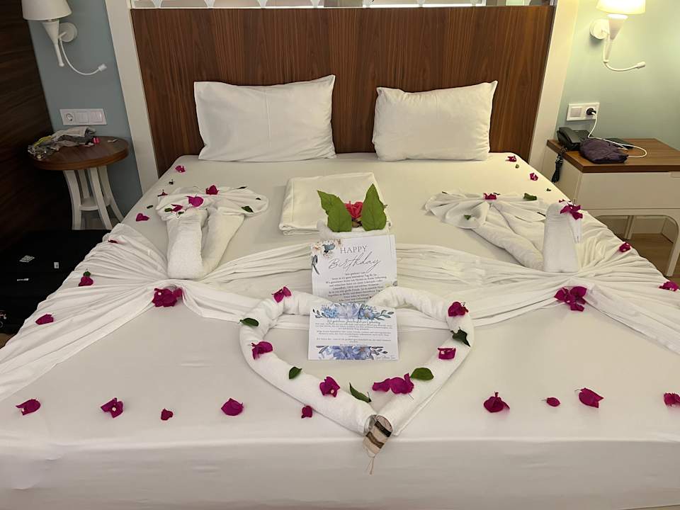 Zimmer Seashell Vega