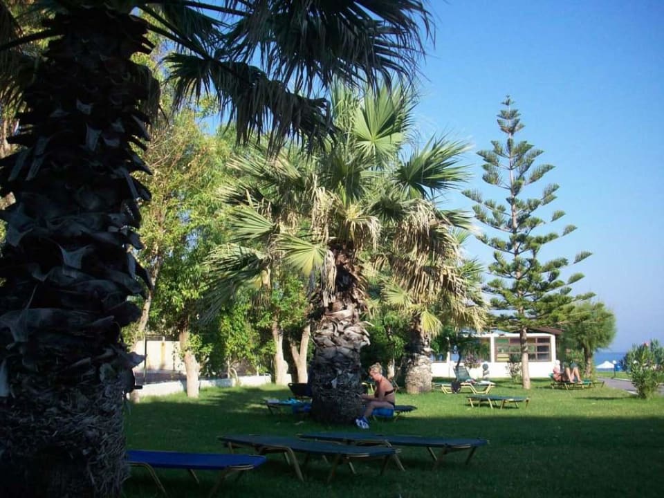 Kinder wir gehen in den Garten Olympos Beach Hotel