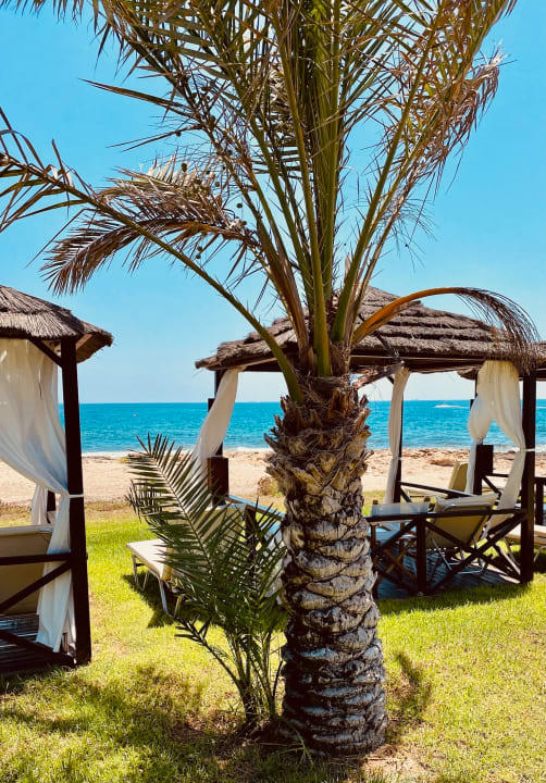 Gartenanlage Constantinou Bros Athena Royal Beach Hotel