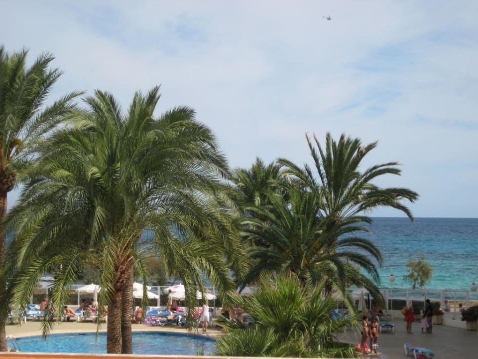 Ausblick vom Balkon aus Aparthotel Playa Dorada