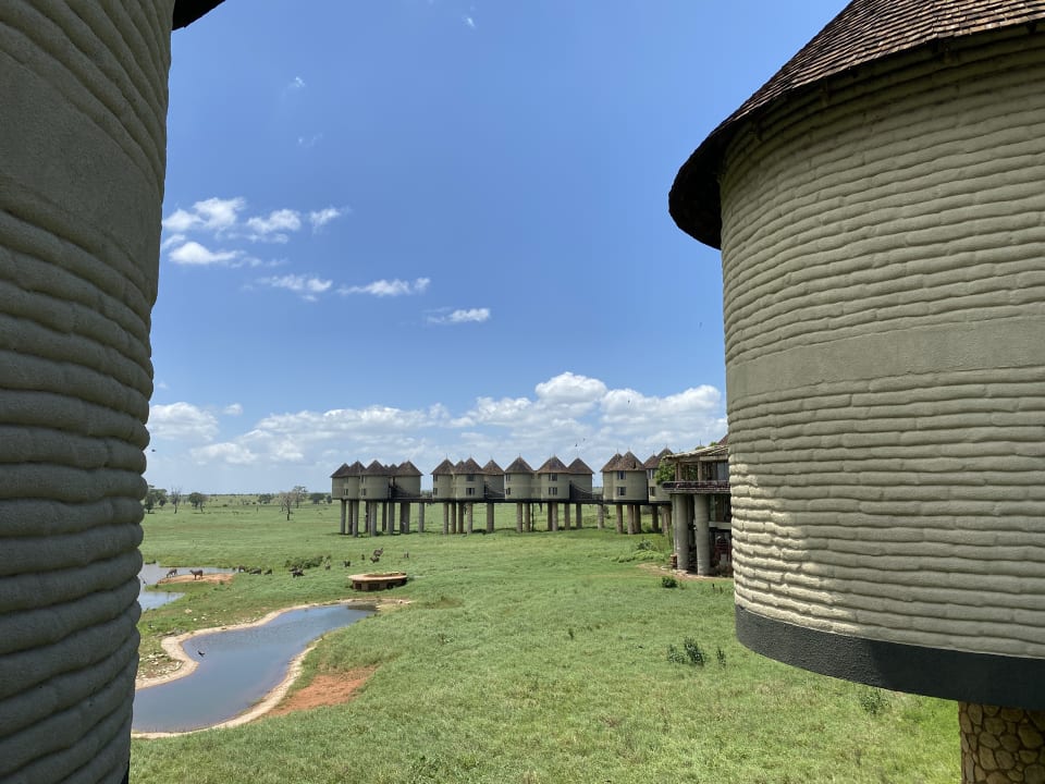 Ausblick Salt Lick Safari Lodge