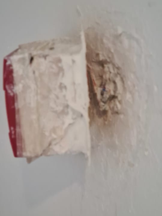 Zimmer Well Palace Side