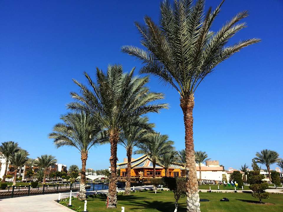 Blick zum l`Asiatique Restaurant Pickalbatros Dana Beach Resort - Hurghada