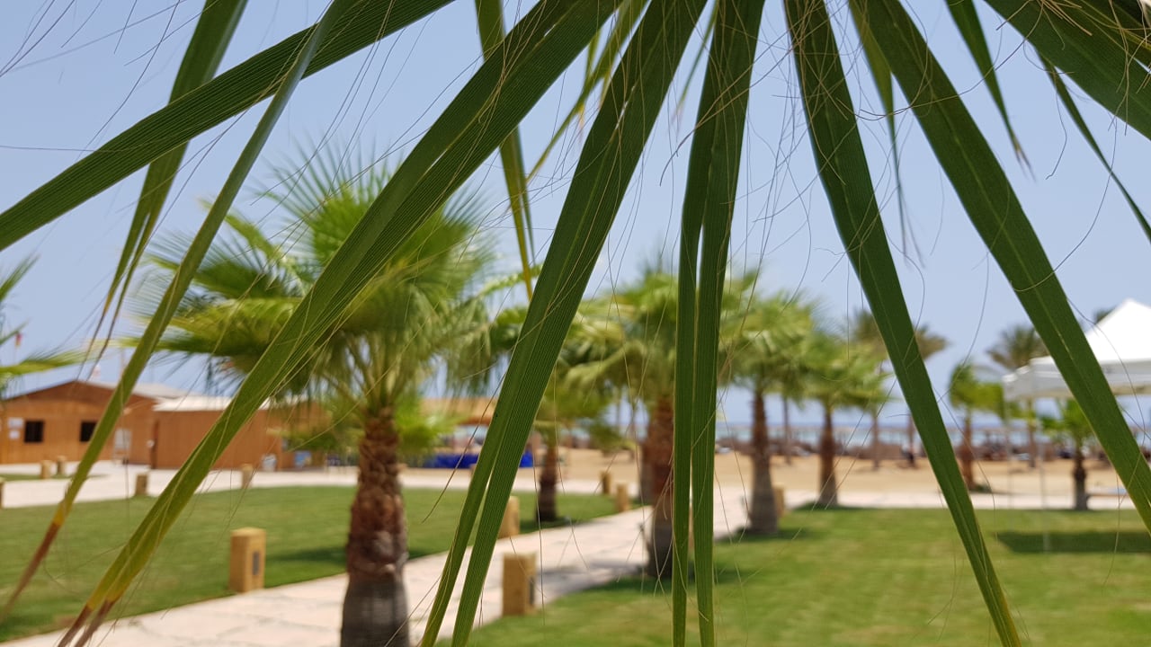 Gartenanlage Casa Mare Resort