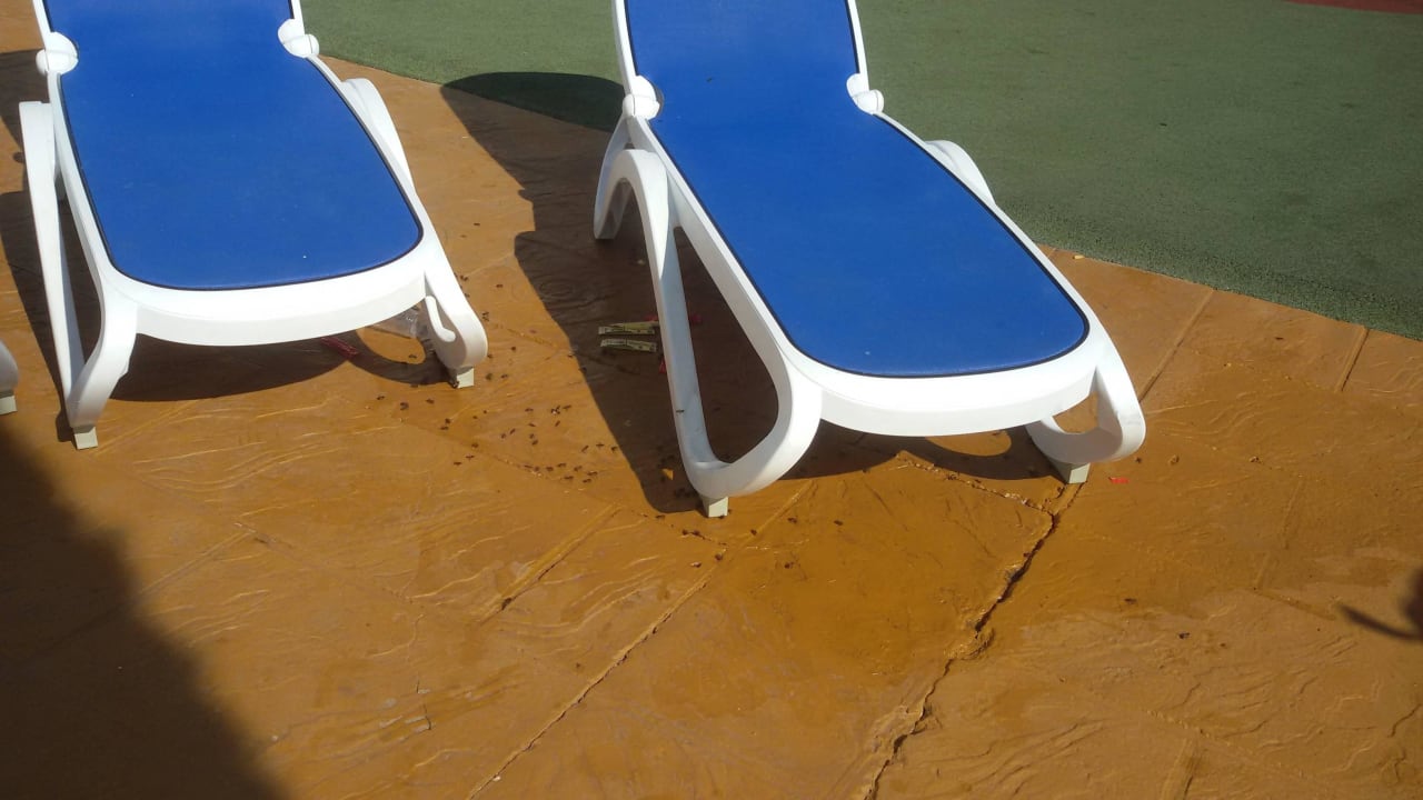 Splashworld Globales Bouganvilla