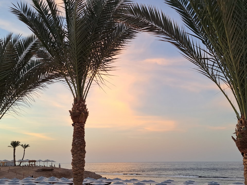 Ausblick Solymar Reef Marsa