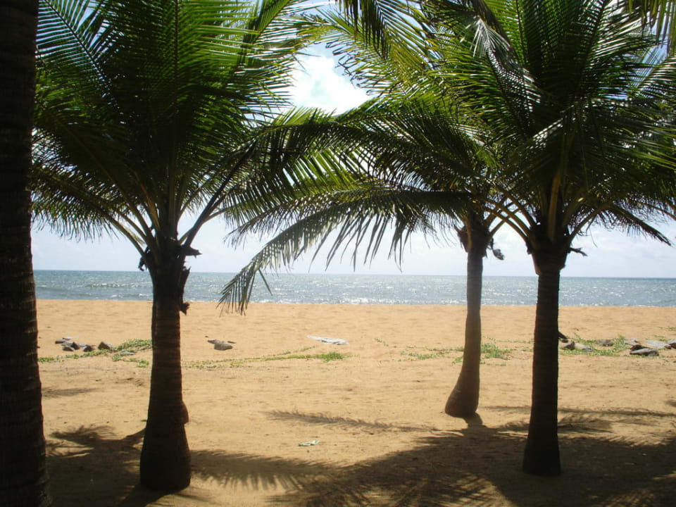 Blick von der Promenade aufs Meer Club Hotel Dolphin