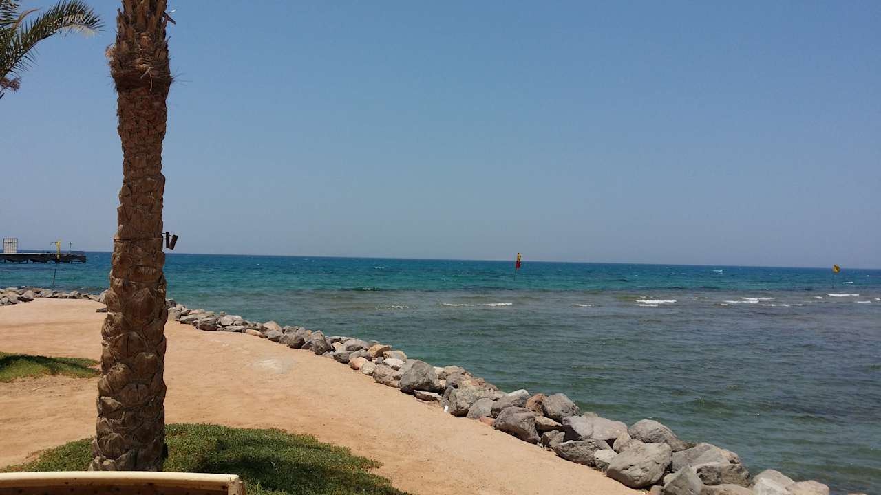 Ausblick Desert Rose