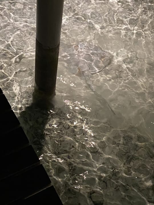 Ausblick Cinnamon Hakuraa Huraa Maldives