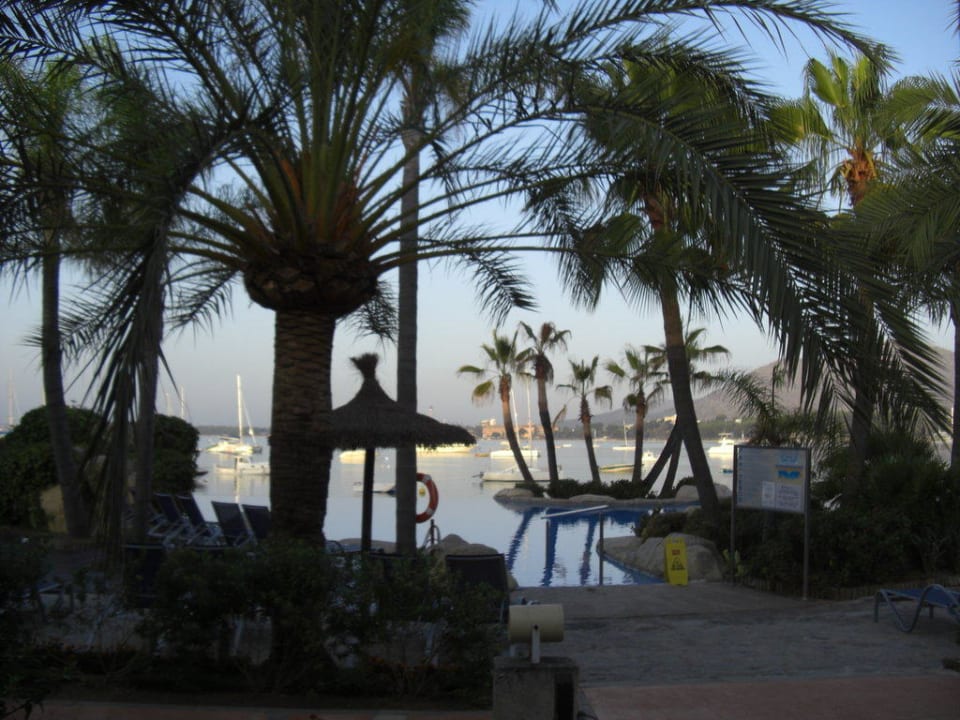 Blick auf Pool Alcudiamar Marina Residence